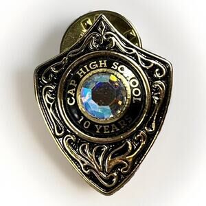 CAP HIGH SCHOOL Pin 10 Year Anniversary Faceted Stone Brooch Sheild Scroll Pin